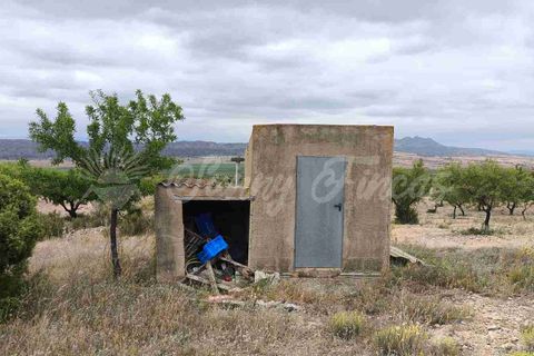 Landejendom i Caudete, Albacete, Caudete - € 39.000 | Ref: SF0580 - foto 9